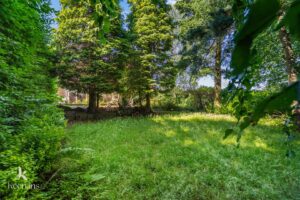 Property Image 65