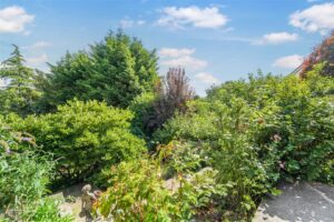 Property Image 55