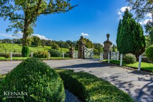Property Image 58