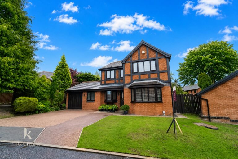 45 Image