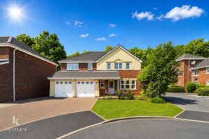Property Image 61