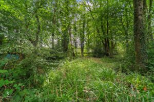 Property Image 60