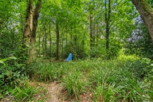 Property Image 62