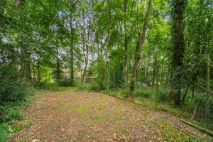 Property Image 63