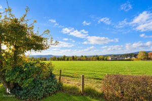 Property Image 55