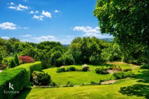 Property Image 54