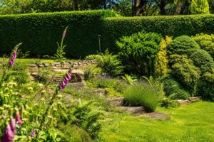 Property Image 63