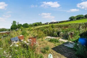 Property Image 85