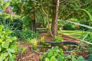 Property Image 58