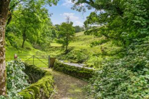 Property Image 72