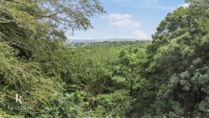 Property Image 67