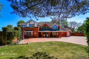 Property Image 47
