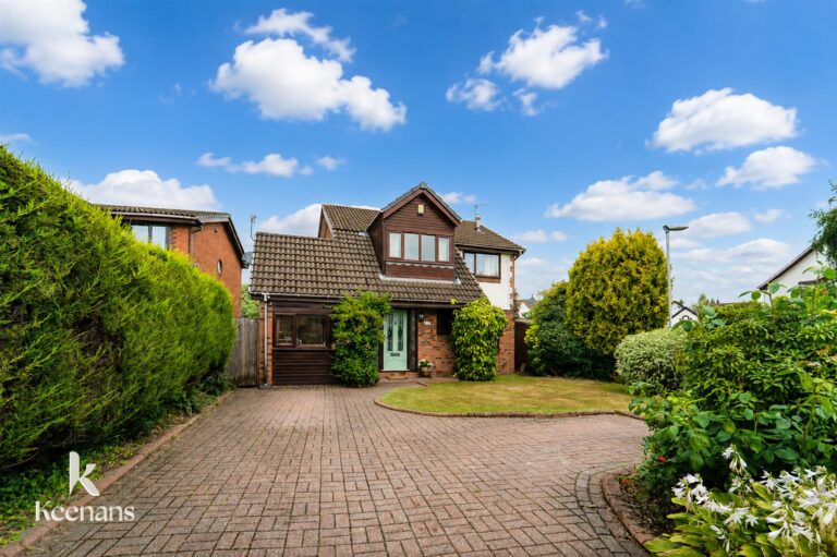 251 Image