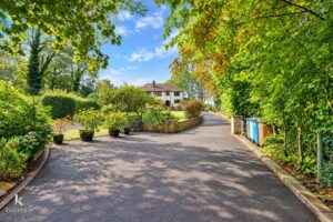 Property Image 54