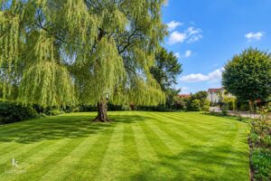 Property Image 65